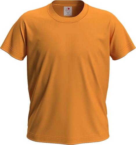 0064331392
