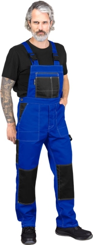 0062210208