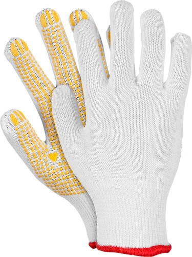 0061999616