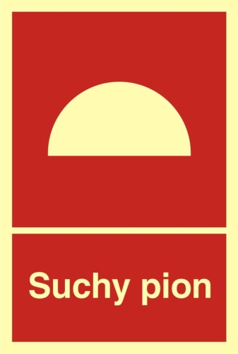 Suchy pion
